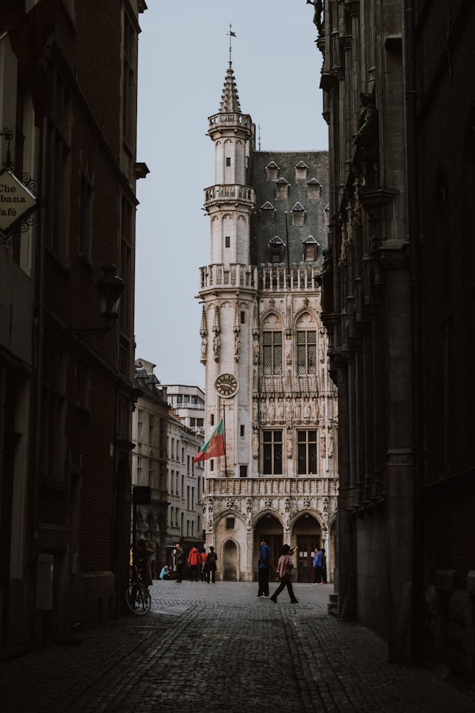 View of a historic building in Brussels through a cobblestone street.