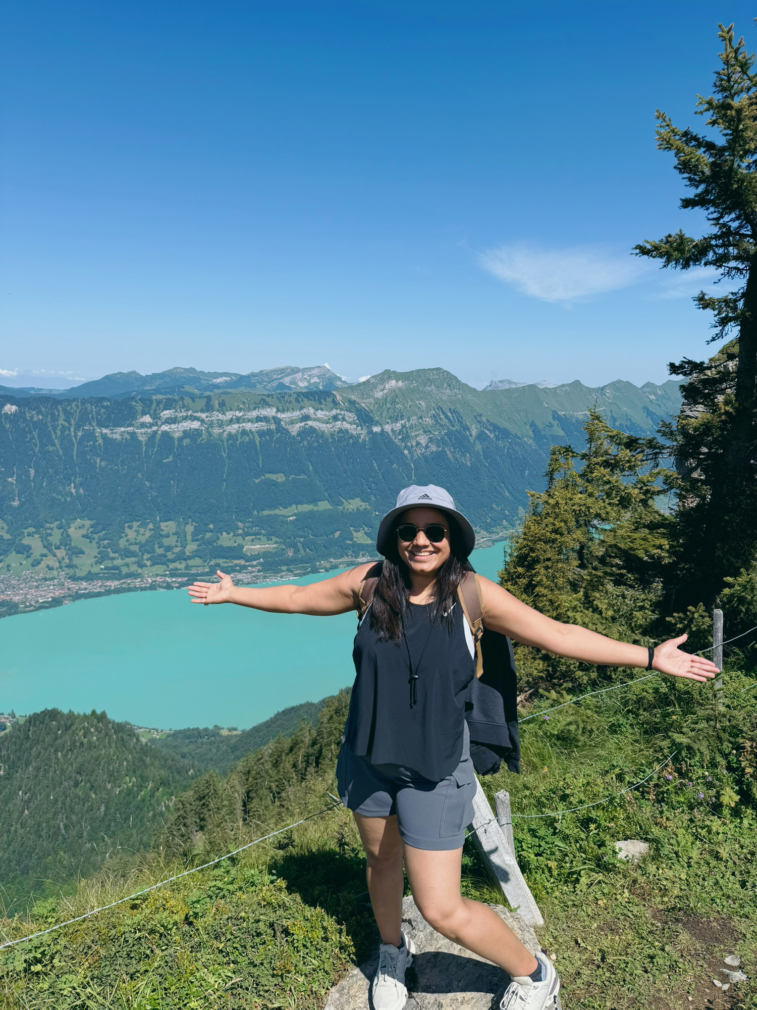 Sweeping alpine views from the Schynige Platte panorama trail